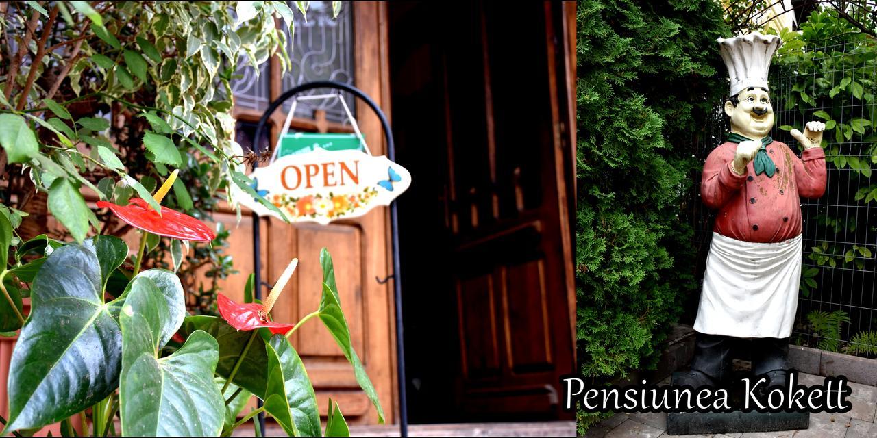 Pension Kokett Campulung Exterior photo