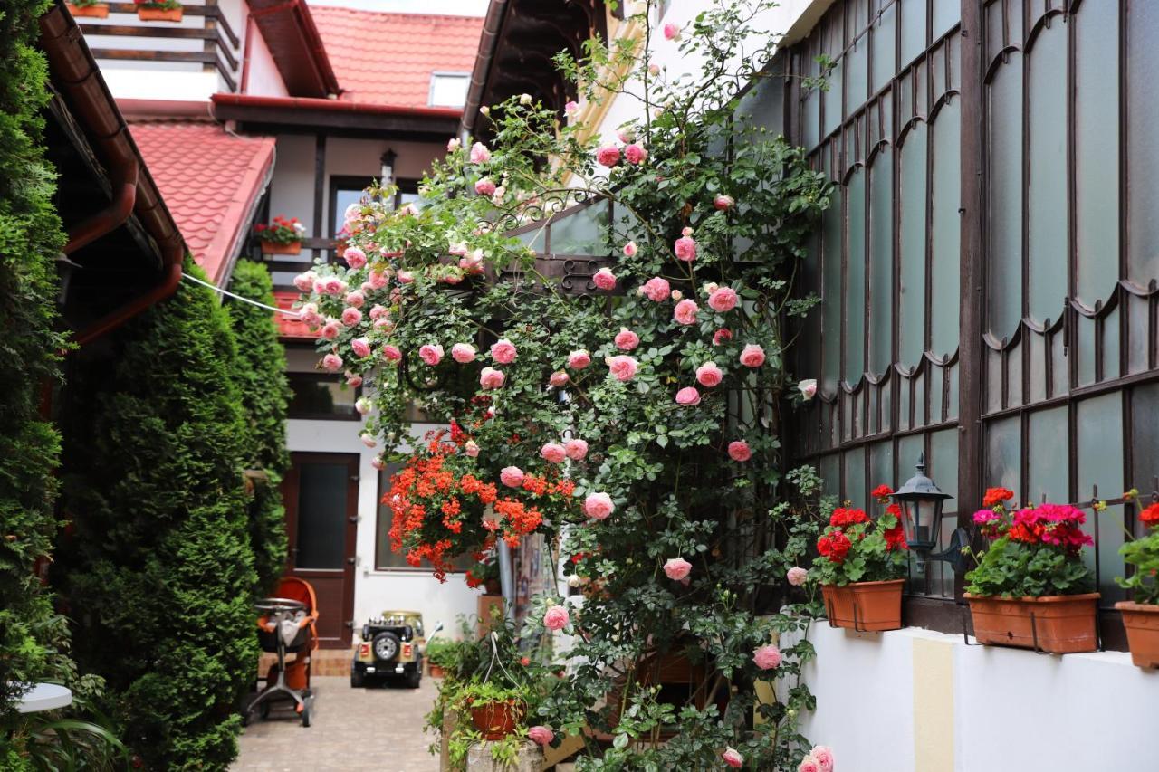 Pension Kokett Campulung Exterior photo